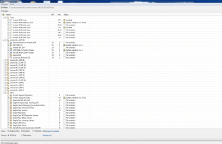sdk manager Hello World