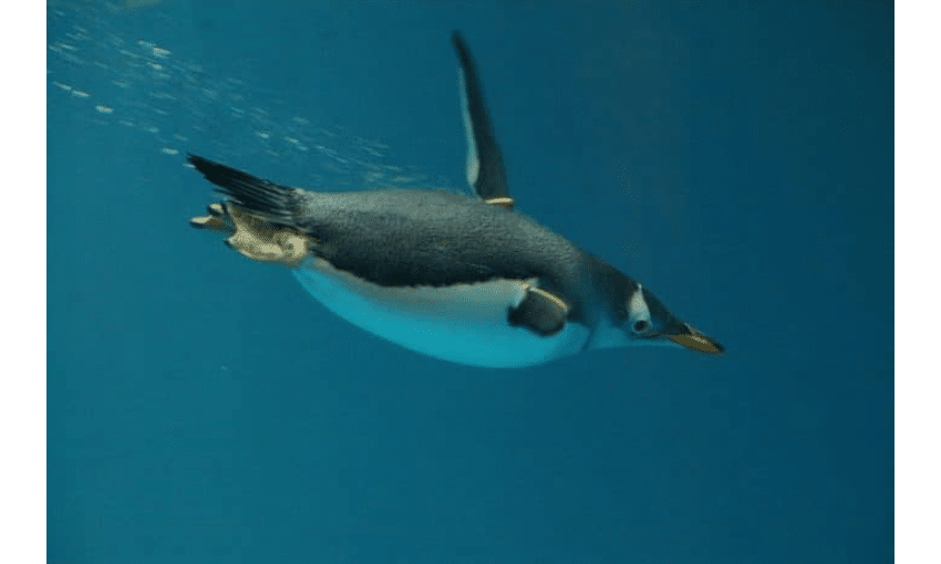 Linux Device Drivers