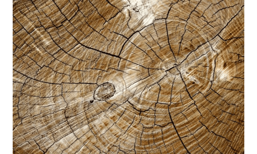 Device Tree Overlay
