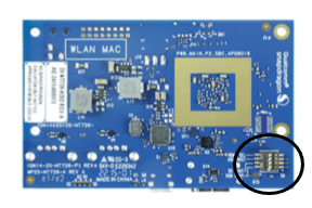 snapdragon-14