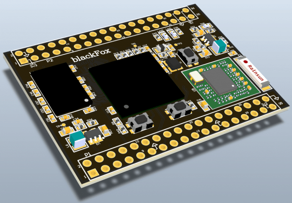 Modelo 3D da blackFox