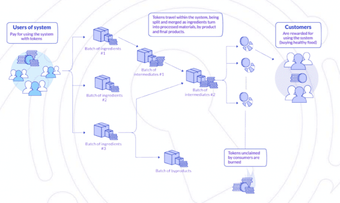 A Jornada do Token Amber pela cadeia de suprimentos
