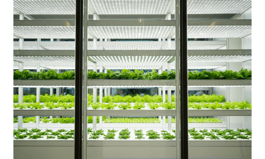 agricultura indoor